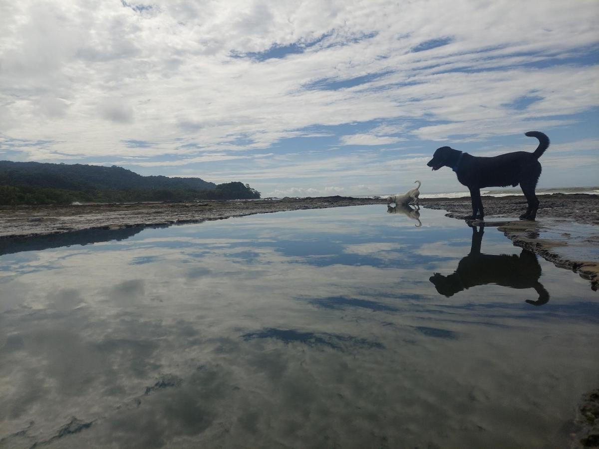Cocobolo Surf Hotel & School Playa Santa Teresa  ภายนอก รูปภาพ